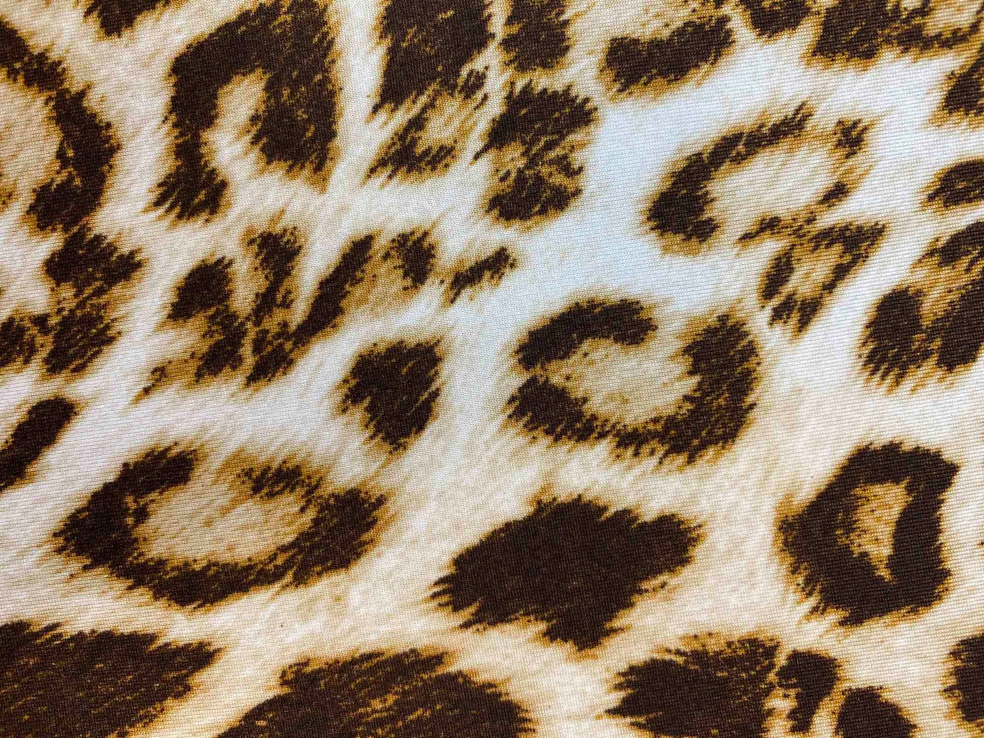 DTY Brushed Animal Print Stretch Knit Fabric - KNT2100-SE20352 - Fabric Selection WS
