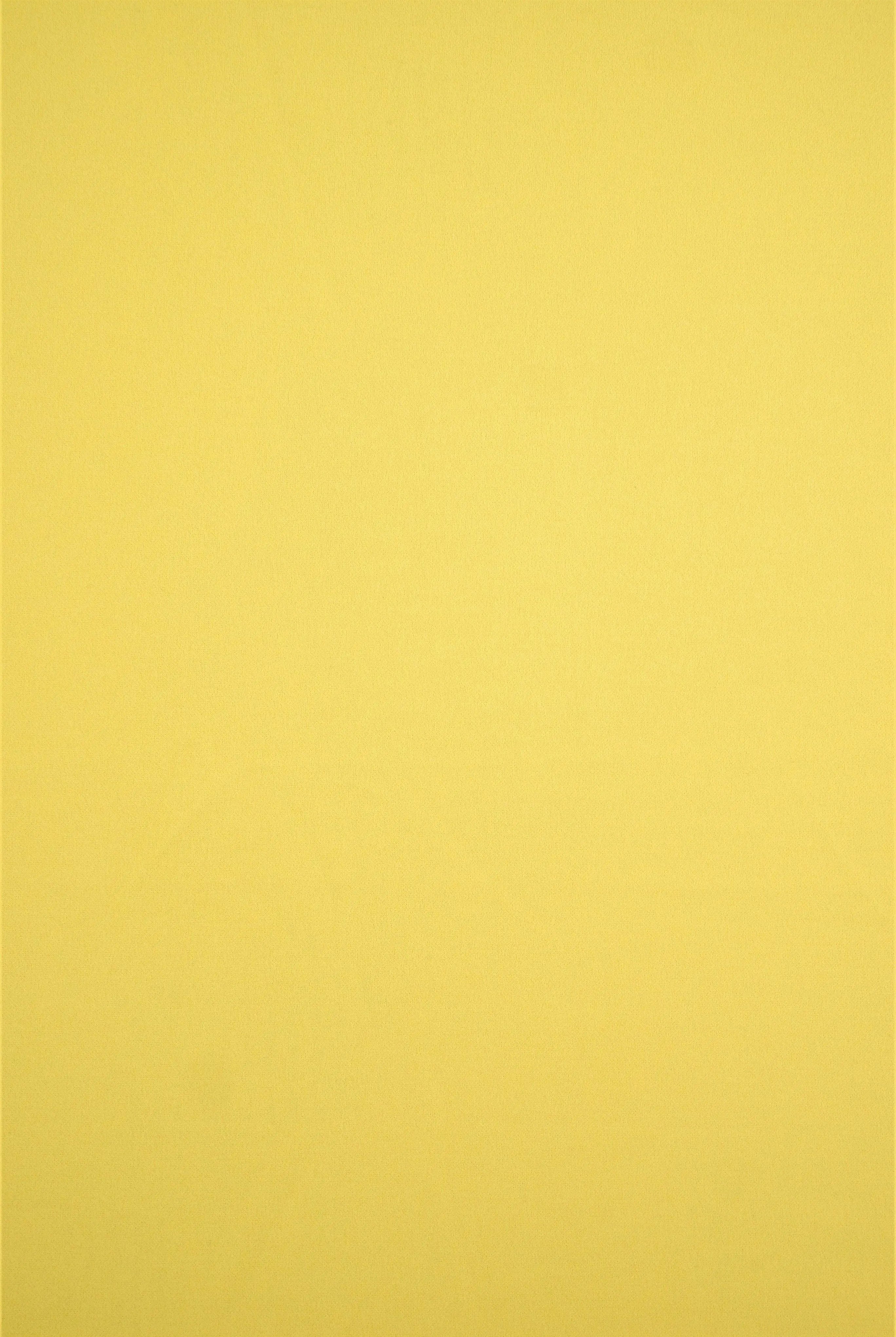 TECH-3311 YELLOW LT BODYSUIT BOTTOMS CAMI CREPON DRESS KNIT NO-PRINT PANTS POLYESTER SKIRTS SOLID SPANDEX SUBLIMATION TECHNO CREPE TOPS TUNICS YELLOW