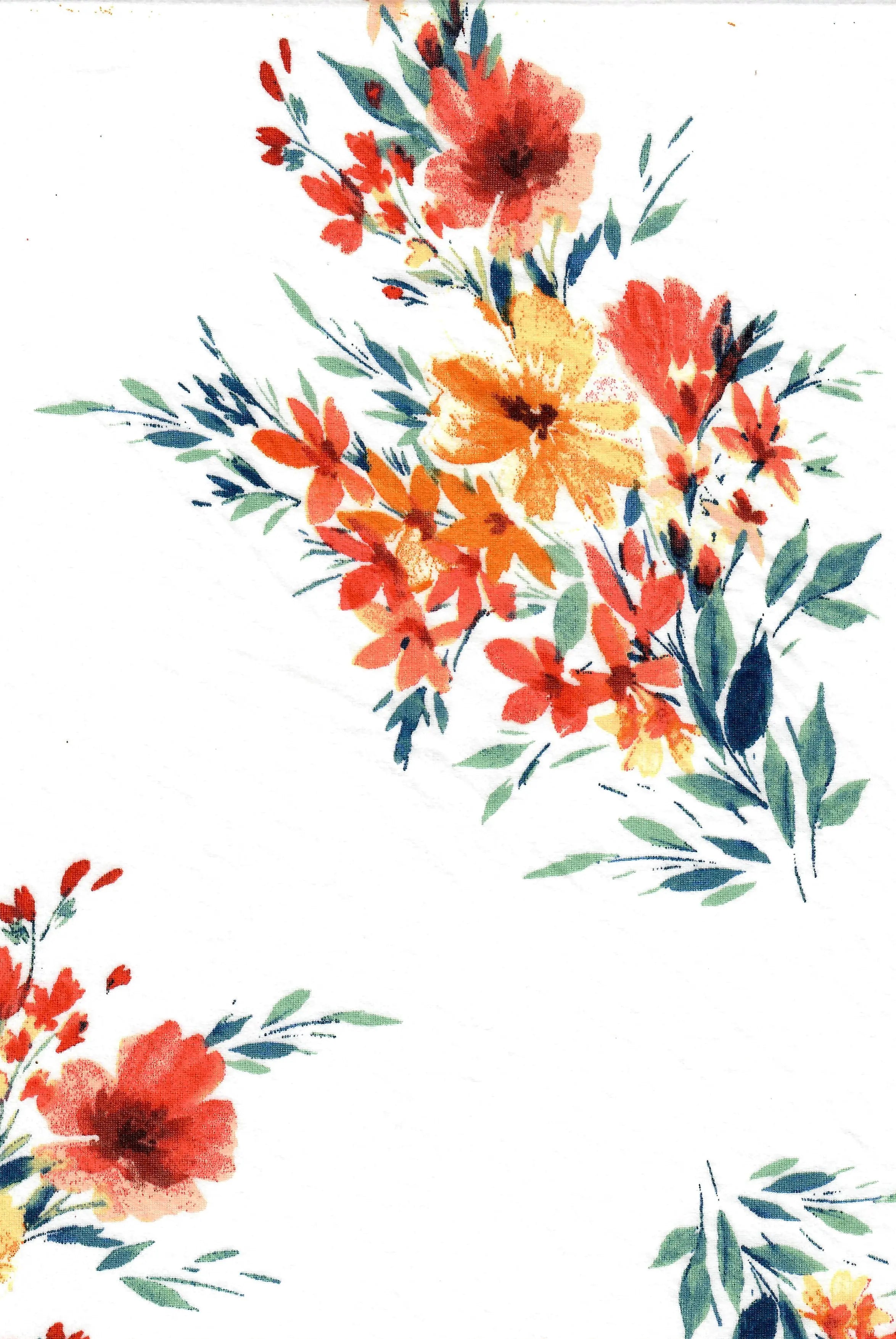 KNT2100-MS11015 IVORY FLOWER BIKER SHORTS BLOUSE BODYSUIT BOTTOMS CAMI DRESS DTY BRUSHED FLORAL KNIT LOUNGEWEAR PANTS POLYESTER PRINT SKIRTS SPANDEX STRETCH T-SHIRT TOPS TUNICS