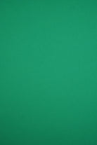 KNT2100 GREEN APPLE BIKER SHORTS BODYSUIT CAMI DRESS DTY BRUSHED GREEN KNIT LOUNGEWEAR NO-PRINT PANTS POLYESTER SOLID SPANDEX STRETCH SUBLIMATION T-SHIRT TOPS TUNICS