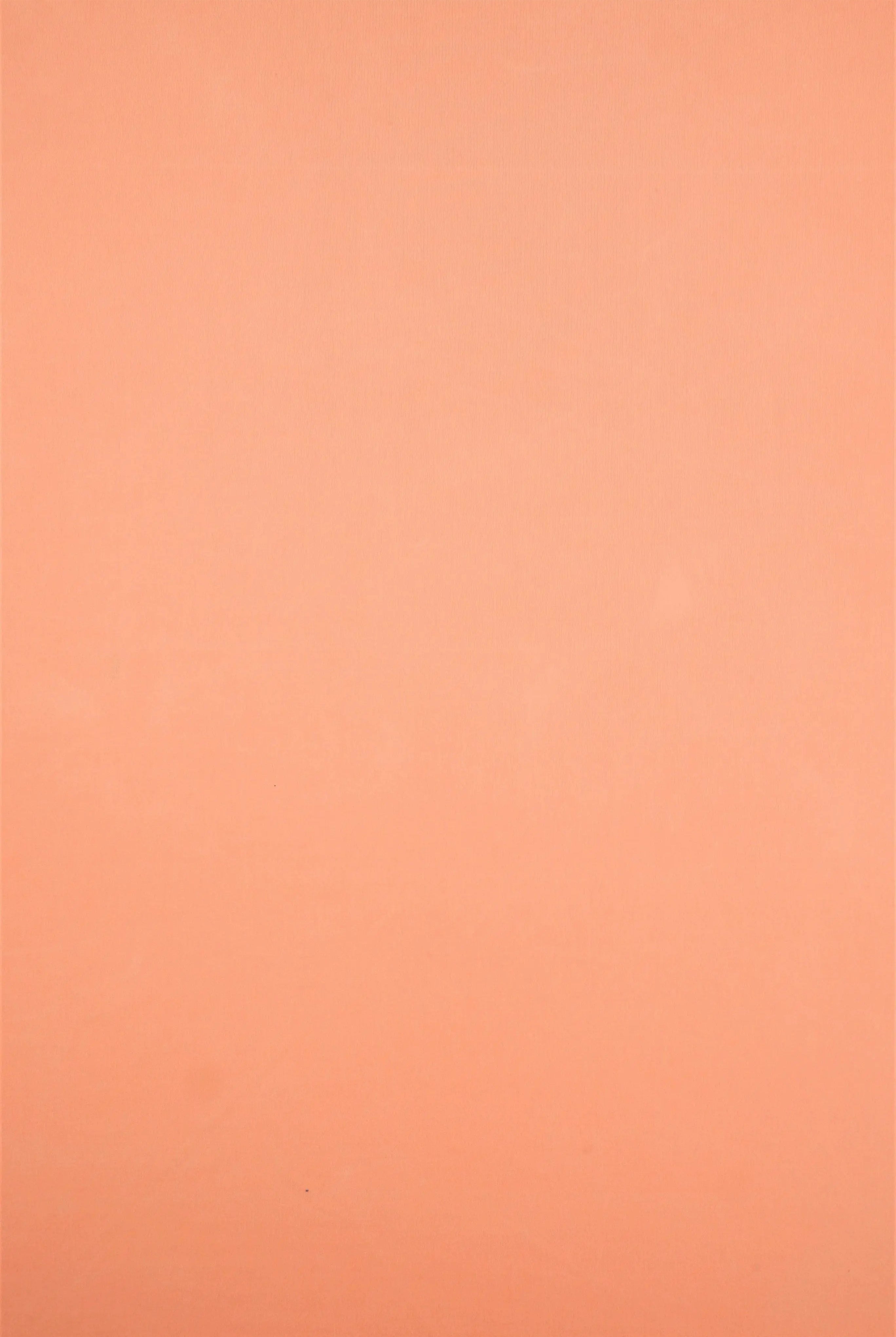 KNT1911 SALMON ACTIVEWEAR BIKER SHORTS BLOUSE BODYSUIT BOTTOMS CAMI DRESS KNIT LOUNGEWEAR NO-PRINT OUTERWEAR PEACH POLYESTER SOLID SPANDEX STRETCH T-SHIRT TOPS TUNICS VENECIA