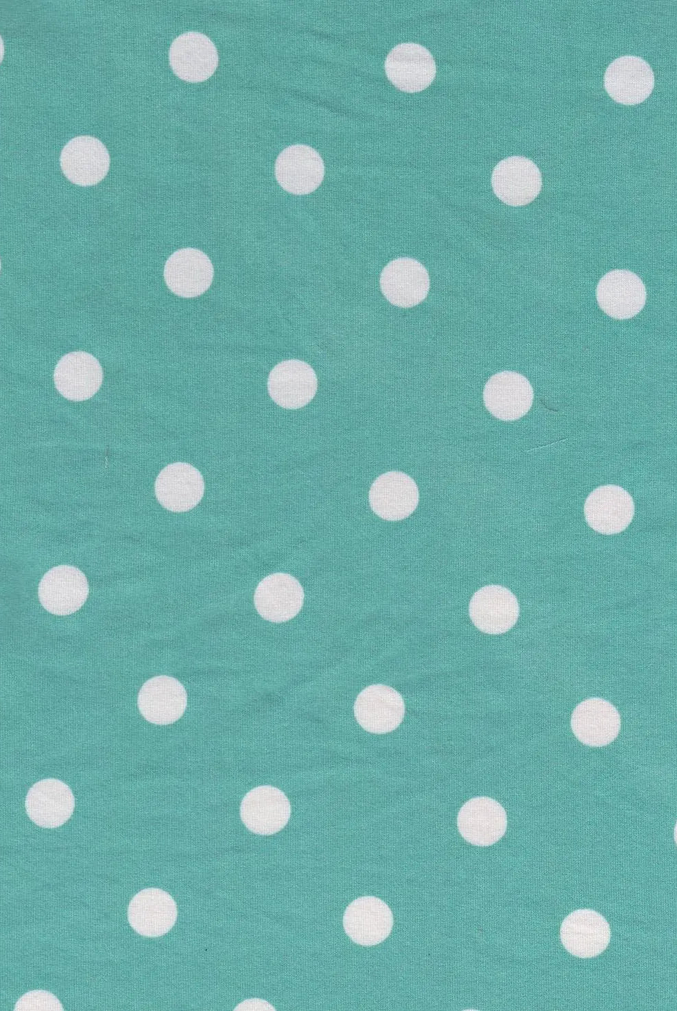 KNT2100-SE90548 GREEN BIKER SHORTS BLOUSE BODYSUIT CAMI DOT DRESS DTY BRUSHED GREEN KNIT LOUNGEWEAR PANTS POLYESTER PRINT SKIRTS SPANDEX STRETCH T-SHIRT TOPS TUNICS WHITE