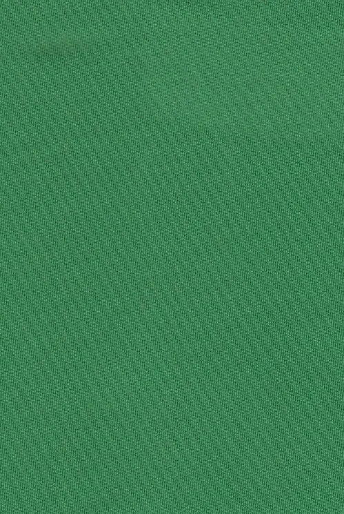 KNT1911 KELLY GREEN ACTIVEWEAR BIKER SHORTS BLOUSE BODYSUIT BOTTOMS CAMI DRESS GREEN KNIT LOUNGEWEAR NO-PRINT OUTERWEAR POLYESTER SOLID SPANDEX STRETCH T-SHIRT TOPS TUNICS VENECIA
