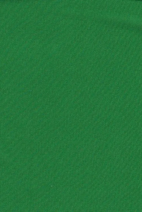 KNT1911 KELLY GREEN GLO ACTIVEWEAR BIKER SHORTS BLOUSE BODYSUIT BOTTOMS CAMI DRESS GREEN KNIT LOUNGEWEAR NO-PRINT OUTERWEAR POLYESTER SOLID SPANDEX STRETCH T-SHIRT TOPS TUNICS VENECIA