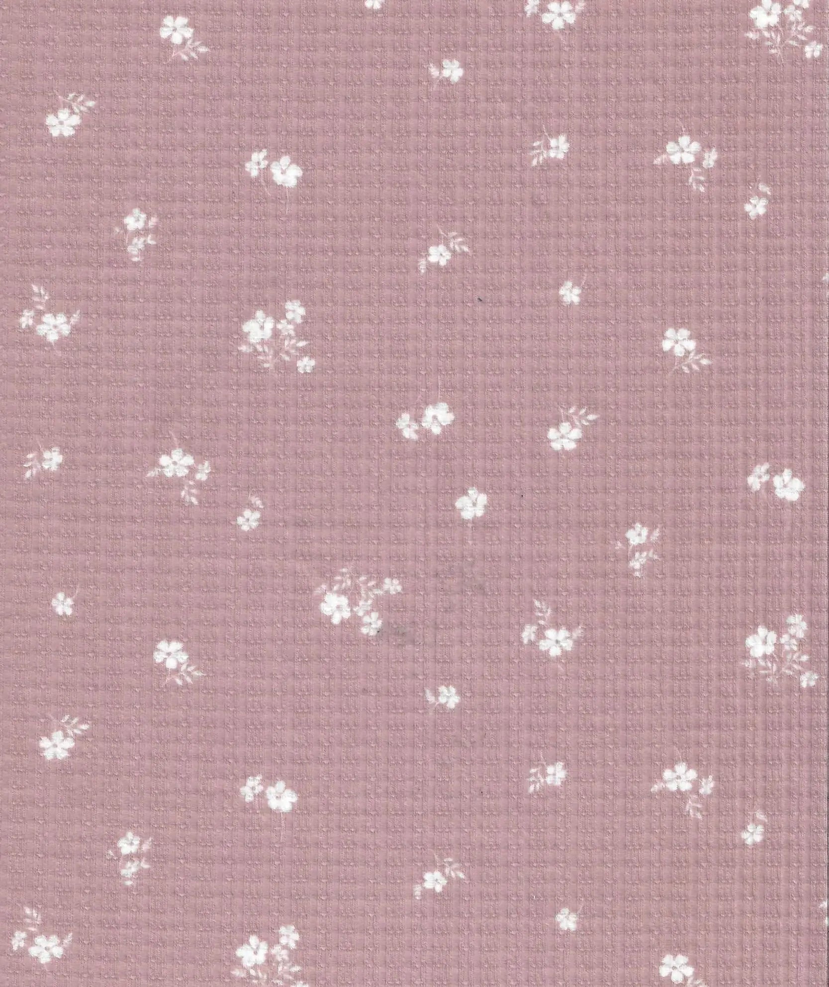 KNT3359-Q00620 ROSE DUSTY BODYSUIT BOTTOMS DAISY FLOWER DIGITAL PRINT DITSY DRESS KNIT LOUNGEWEAR POINTELLE POLYESTER RAYON RIBBED SKIRTS SPANDEX STRETCH TOPS