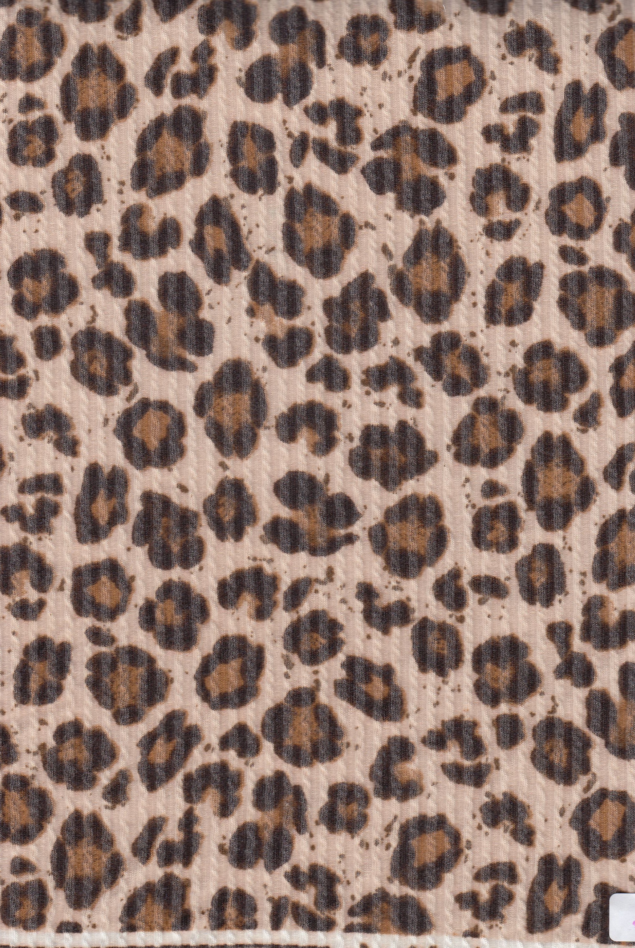 KNT4463-MS11424 TAN B ANIMAL BODYSUIT BOTTOMS CAMI DOUBLE KNIT DRESS JACQUARD LEOPARD PANTS POLYESTER RAYON RIB SKIRTS SOLID SPANDEX STRETCH SWEATER TOPS URBAN