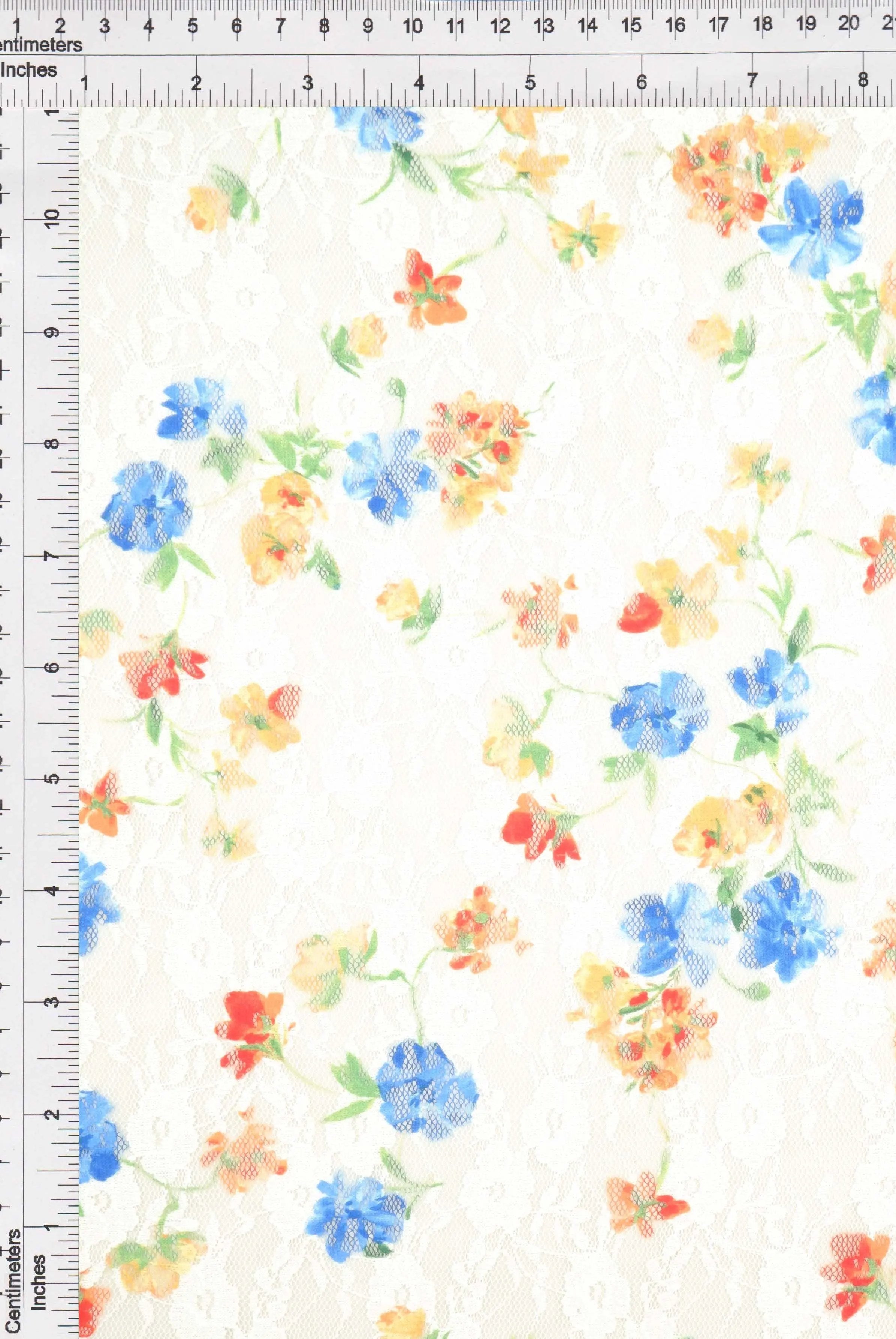 LACE4481-M11027 IVORY/BLUE LACE