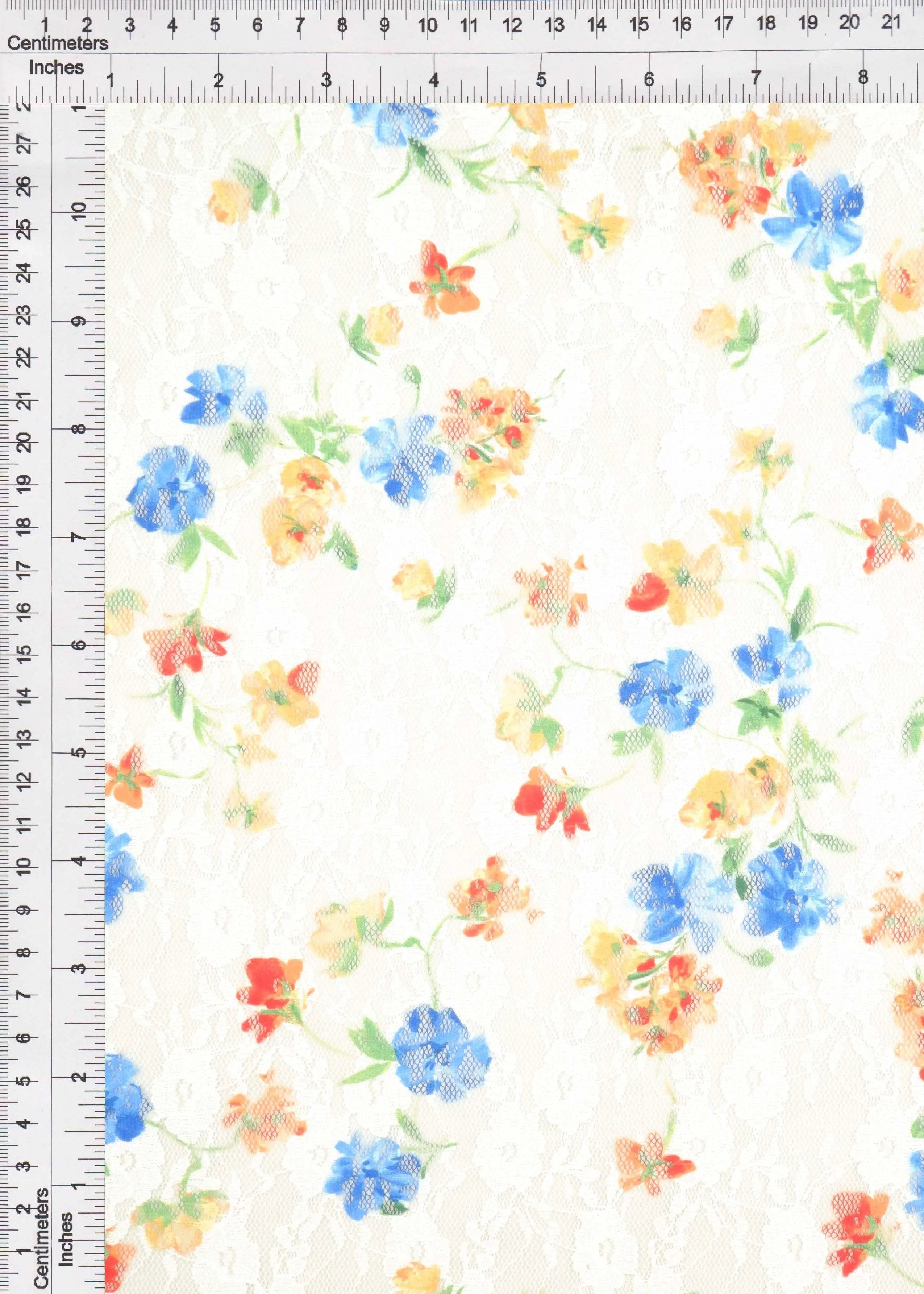 LACE4481-M11027 IVORY/BLUE LACE