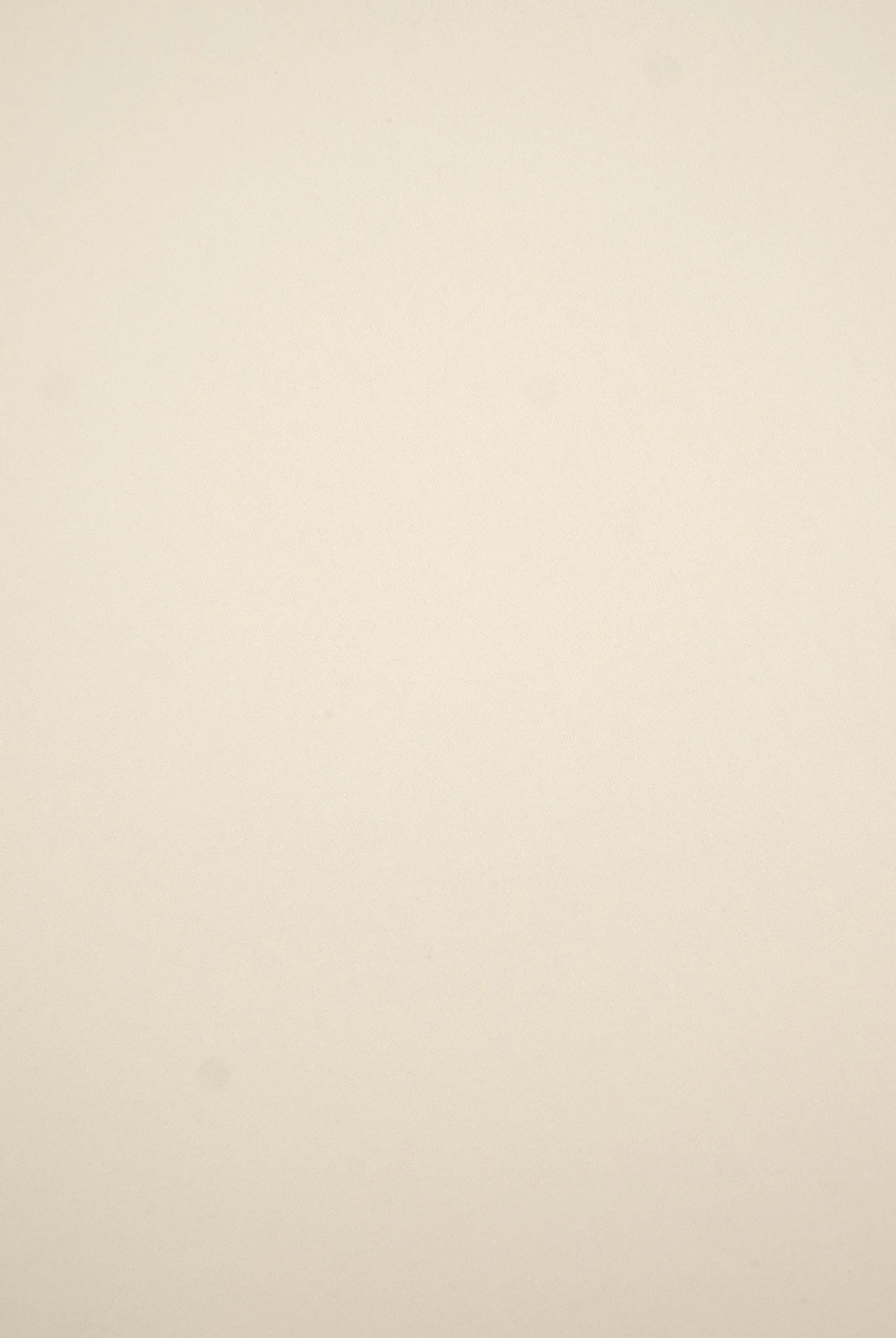 KNT2100 CREAM BIKER SHORTS BLOUSE BODYSUIT BRUSHED CAMI DRESS DTY KNIT LOUNGEWEAR NO-PRINT PANTS POLYESTER SKIRTS SOLID SPANDEX T-SHIRT TOPS TUNICS