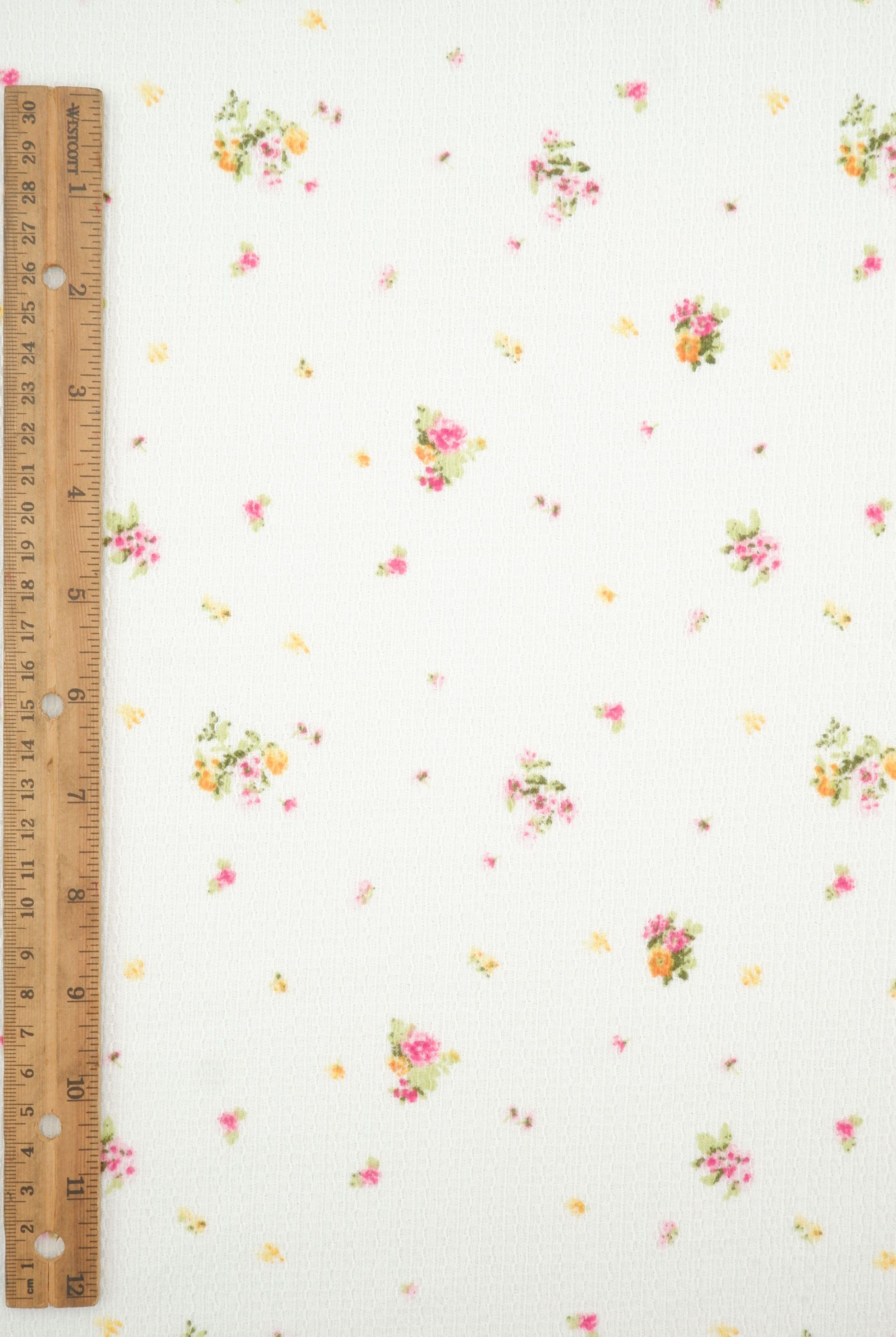 CRP4670-MS11578 IVORY/FUCSHIA KNIT