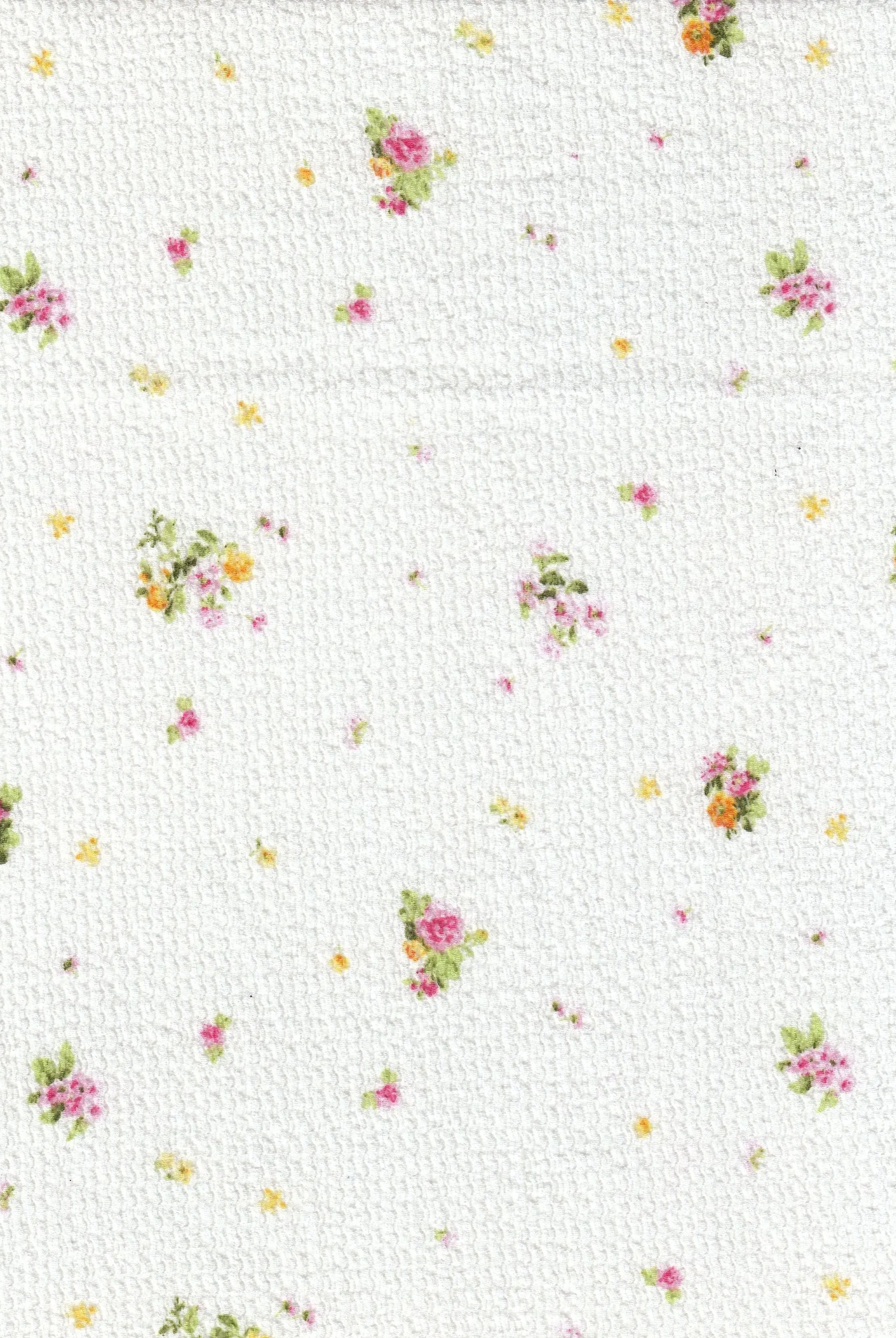 CRP4670-MS11578 IVORY/FUCSHIA KNIT