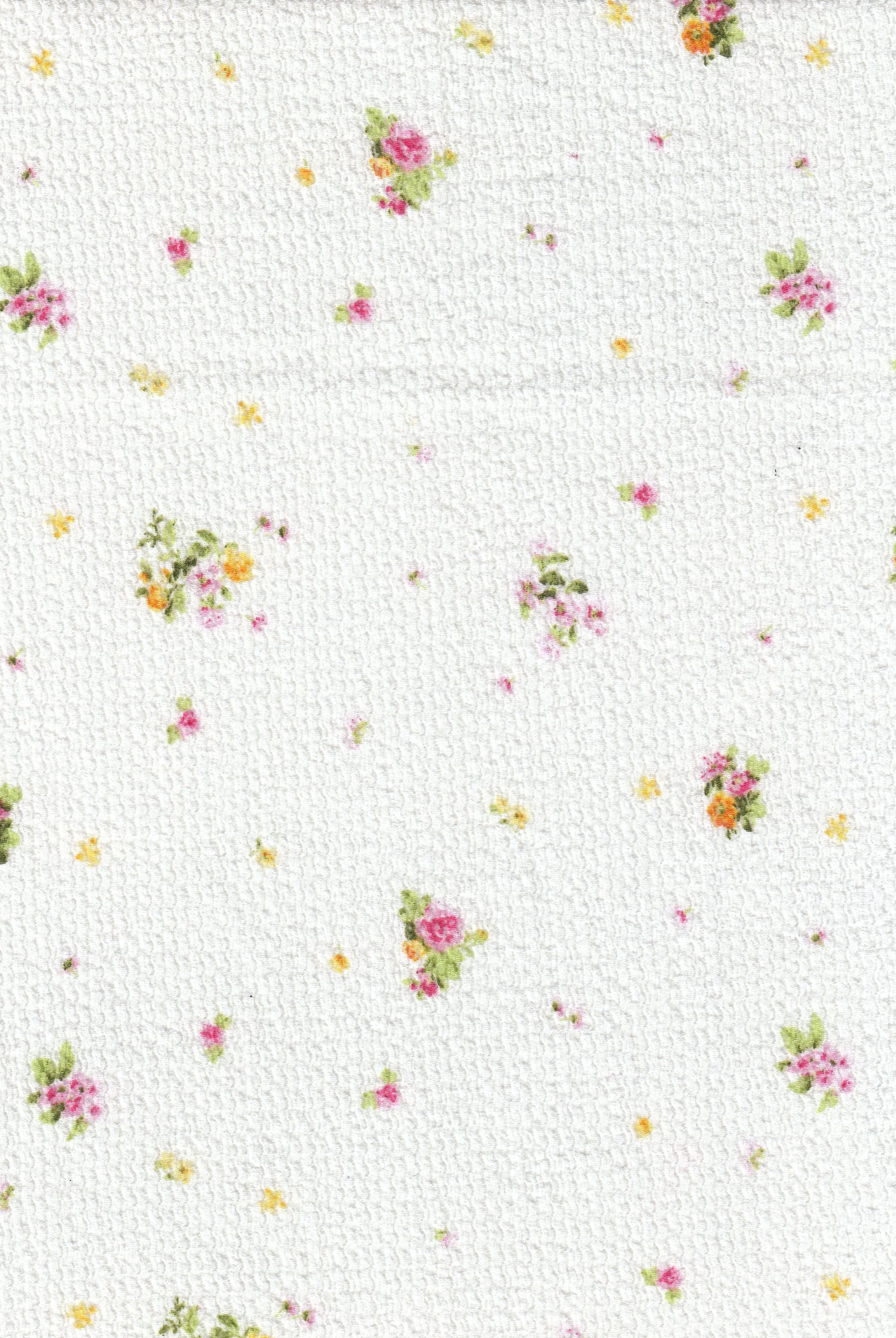 CRP4670-MS11578 IVORY/FUCSHIA KNIT