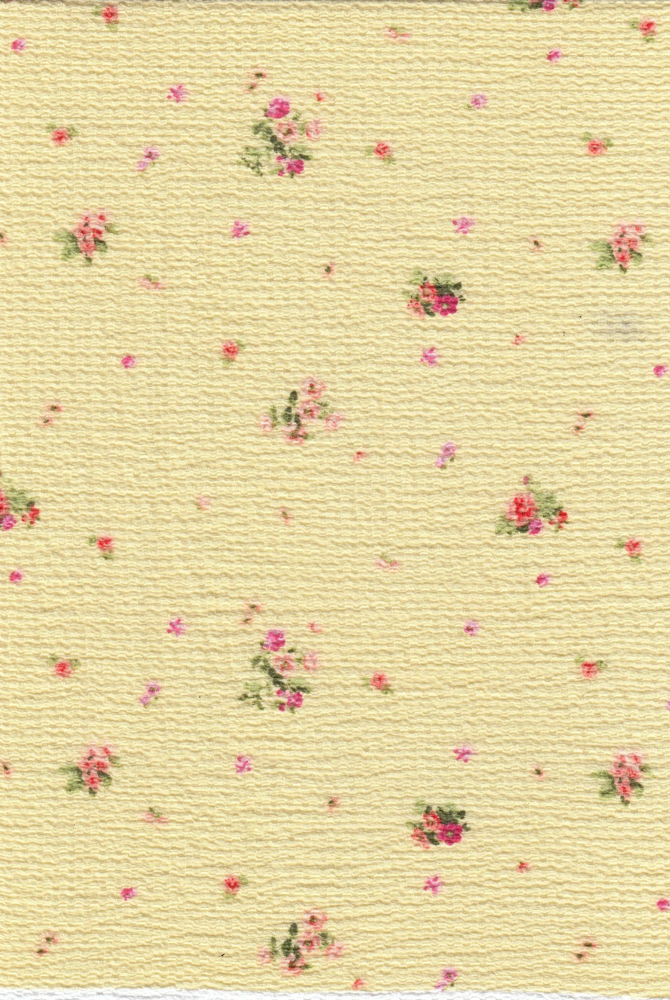 CRP4670-MS11578 YELLOW BUTTER KNIT