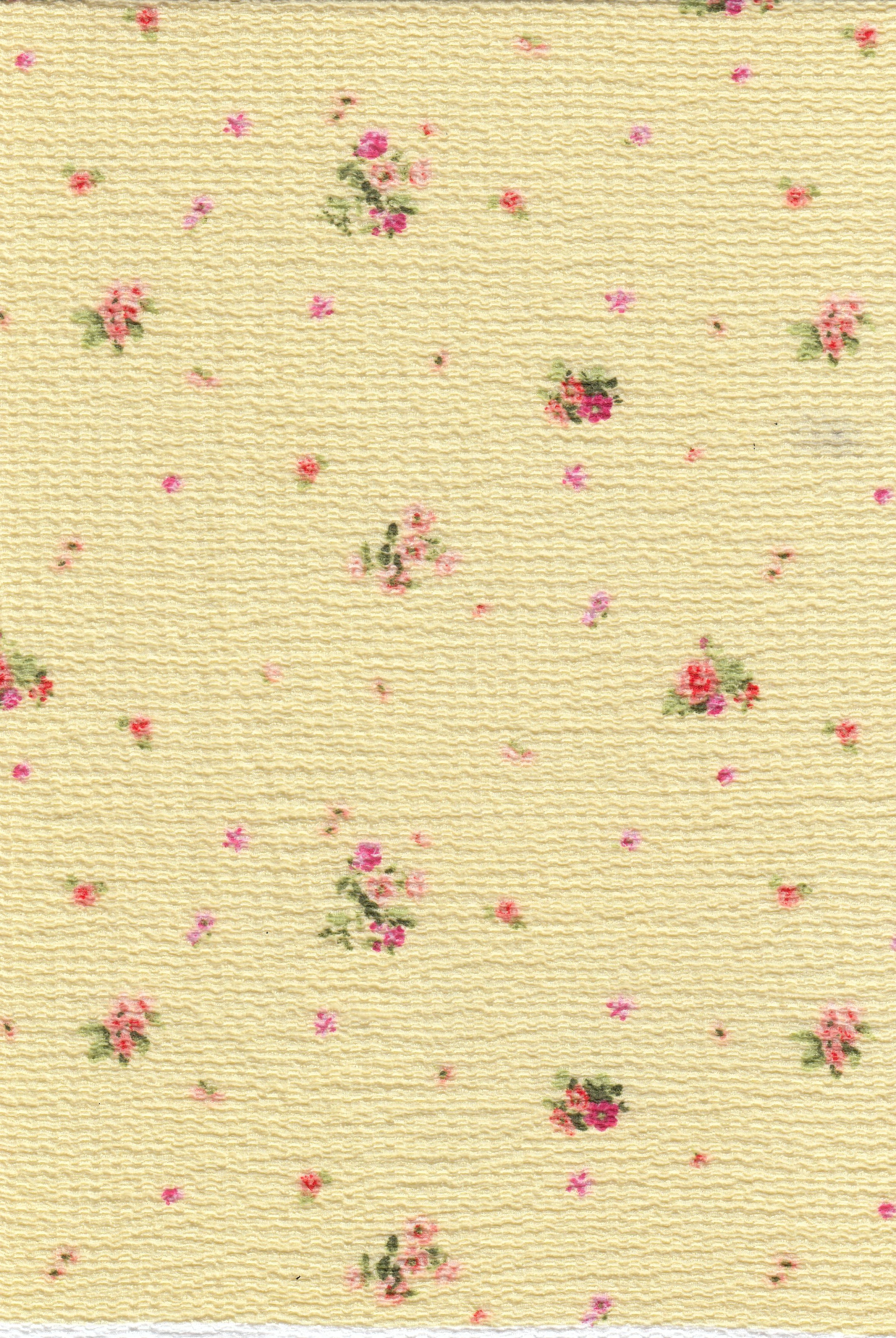 CRP4670-MS11578 YELLOW BUTTER KNIT