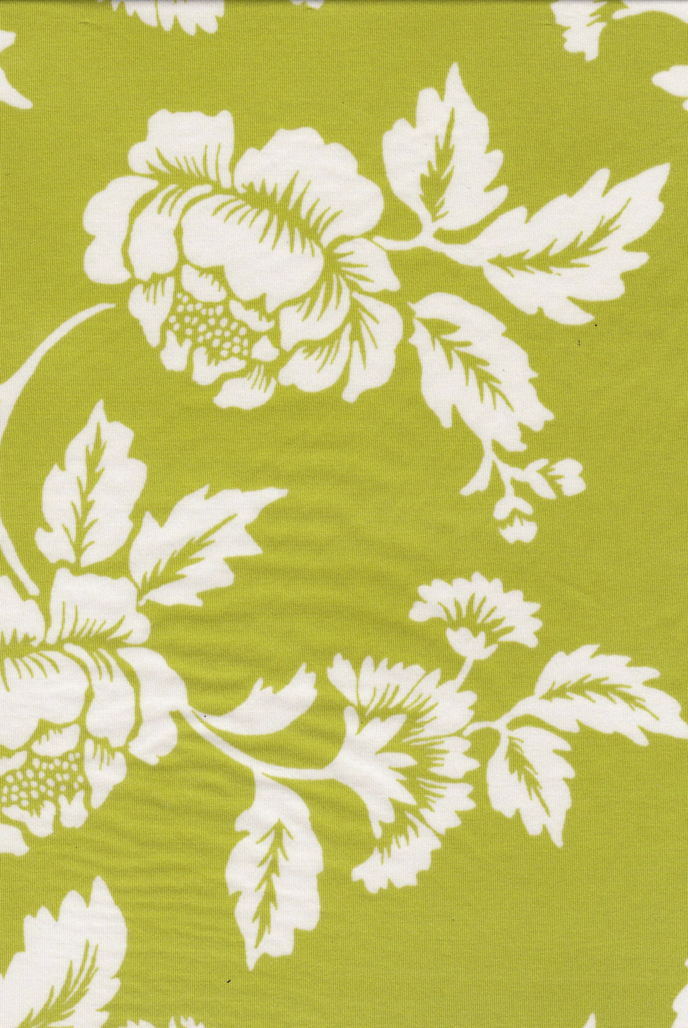 KNT4498-MS11573 LIME KNIT