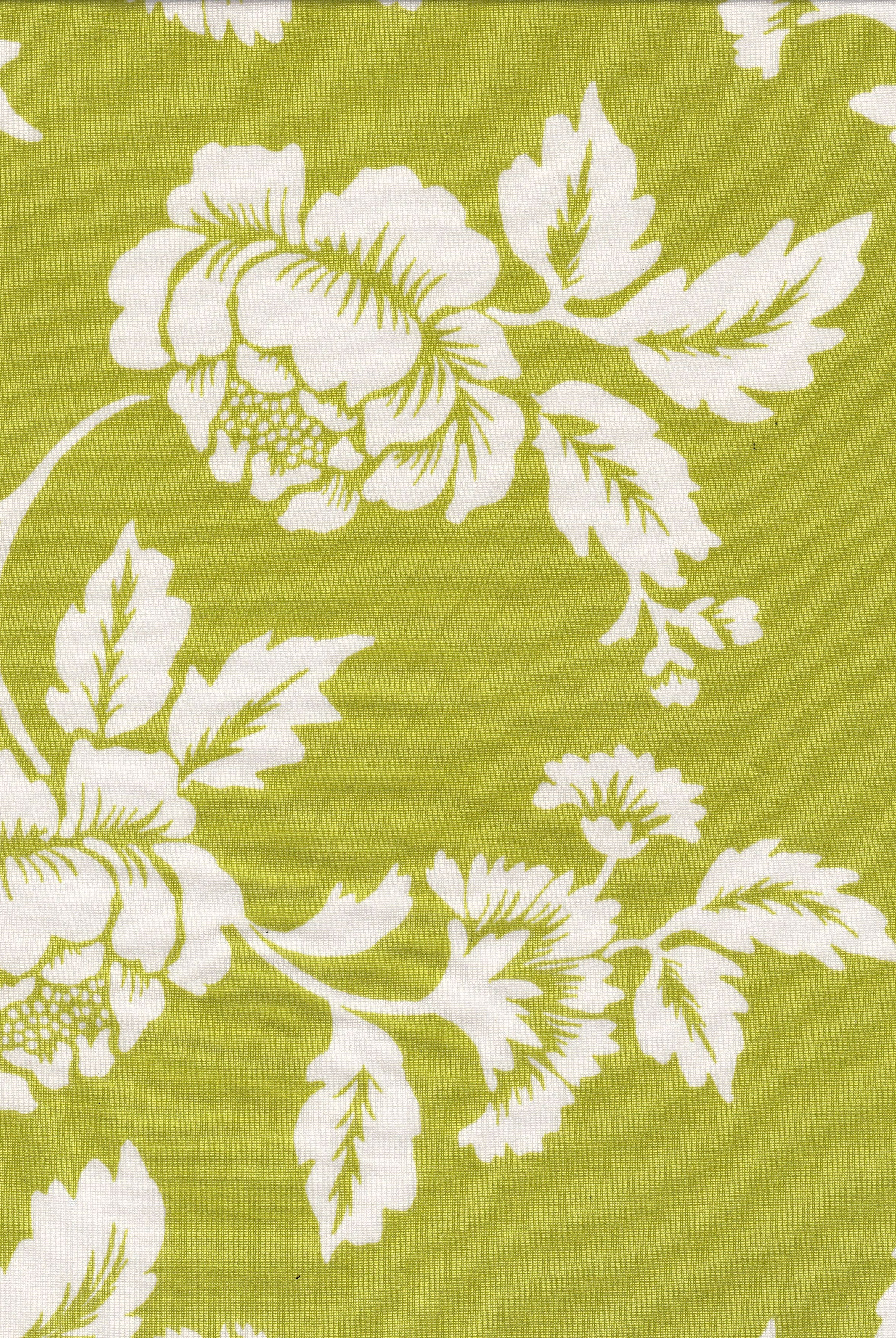 KNT4498-MS11573 LIME KNIT