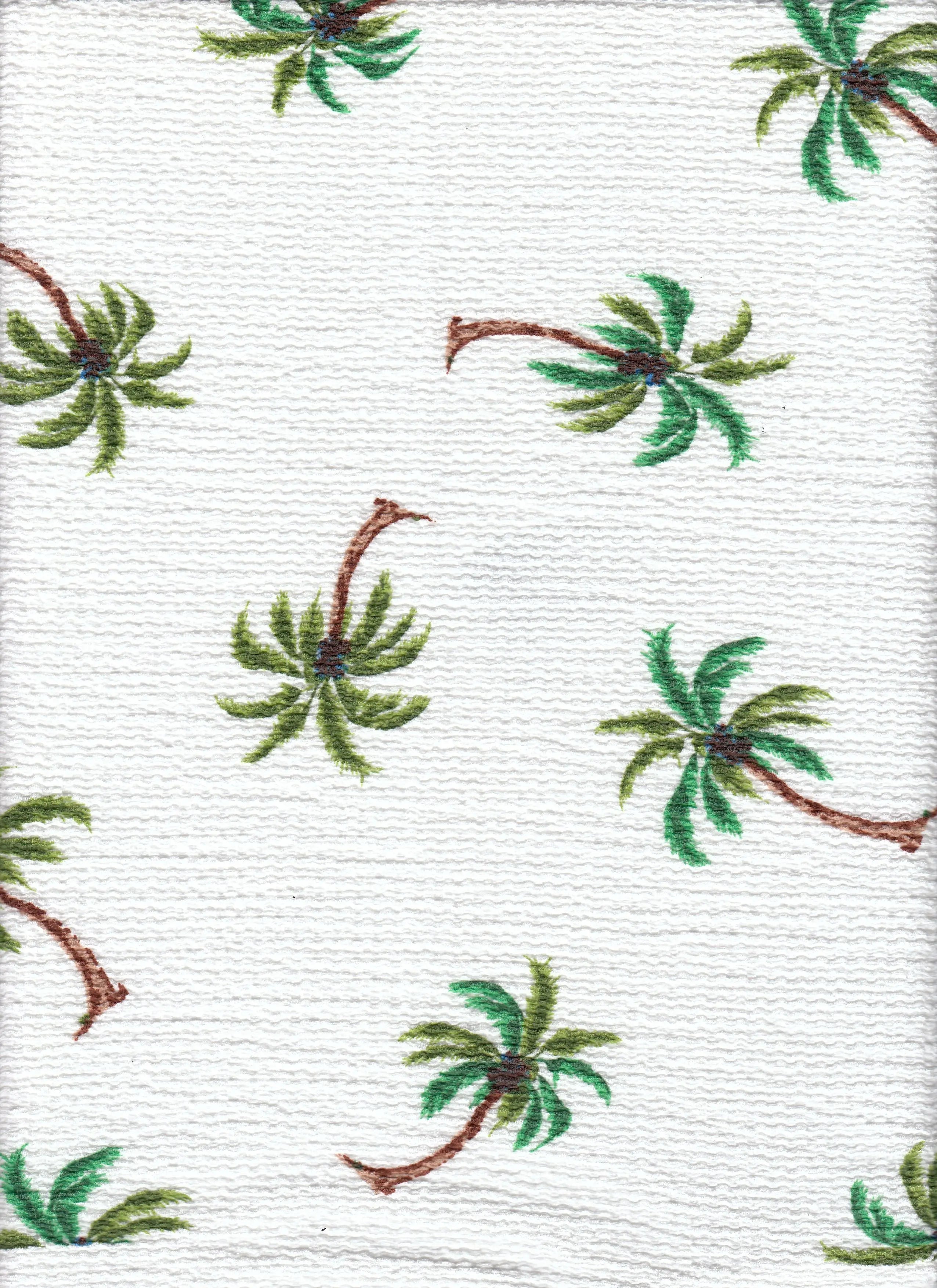 CRP4670-MS11615 IVORY KNIT