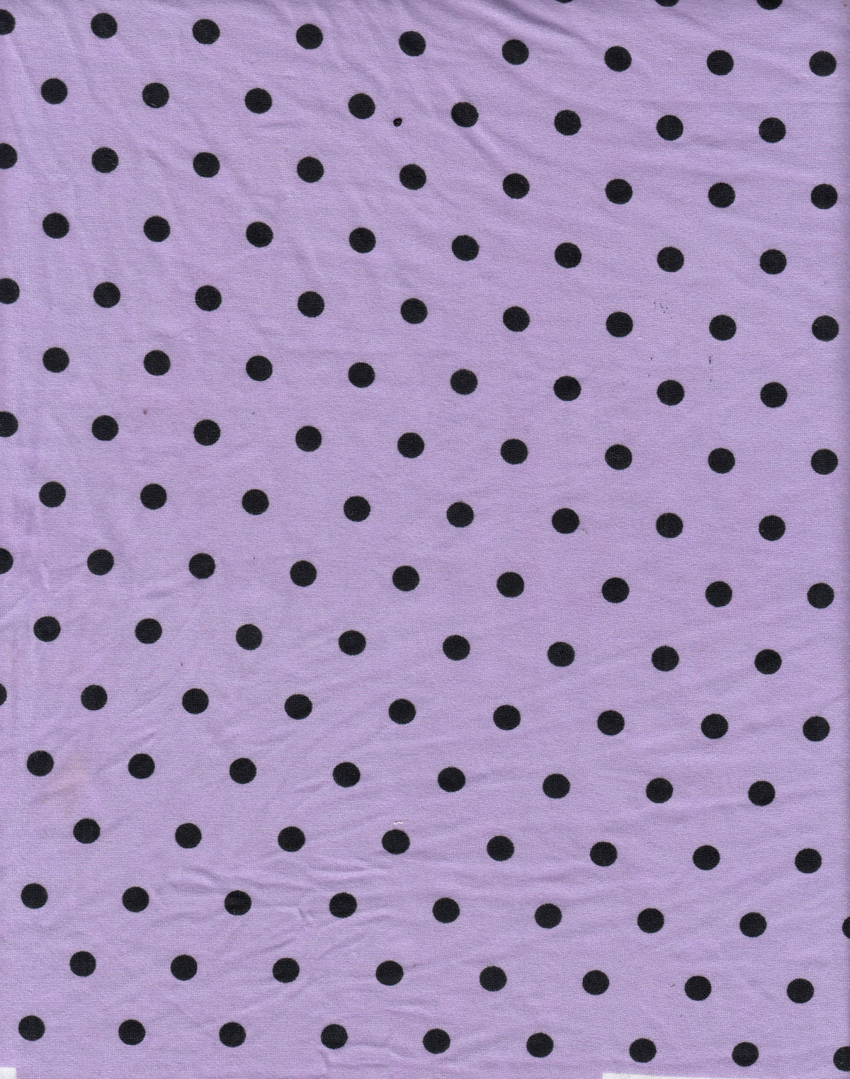 DTY Brushed Polka Dot Digital Print Knit KNT4520-MS11654 - Fabric Selection WS