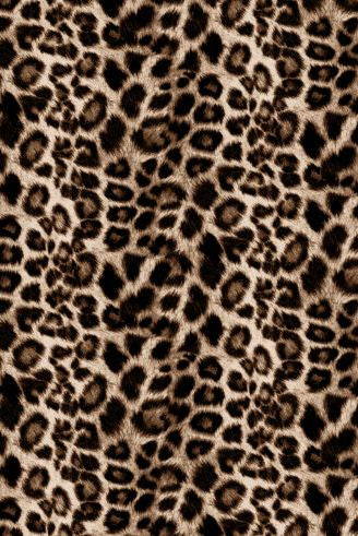 KNT4038-SE20351 STONE BIKER SHORTS BLOUSE BOTTOMS BROWN CAMI DRESS HACCI KNIT LEOPARD OUTERWEAR PANTS POLYESTER PRINT SKIRTS SPANDEX T-SHIRT TOPS