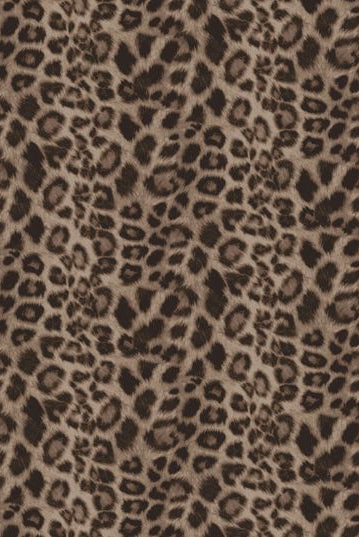 KNT4038-SE20351 BROWN ASH BIKER SHORTS BLOUSE BOTTOMS BROWN CAMI DRESS HACCI KNIT LEOPARD OUTERWEAR PANTS POLYESTER PRINT SKIRTS SPANDEX T-SHIRT TOPS