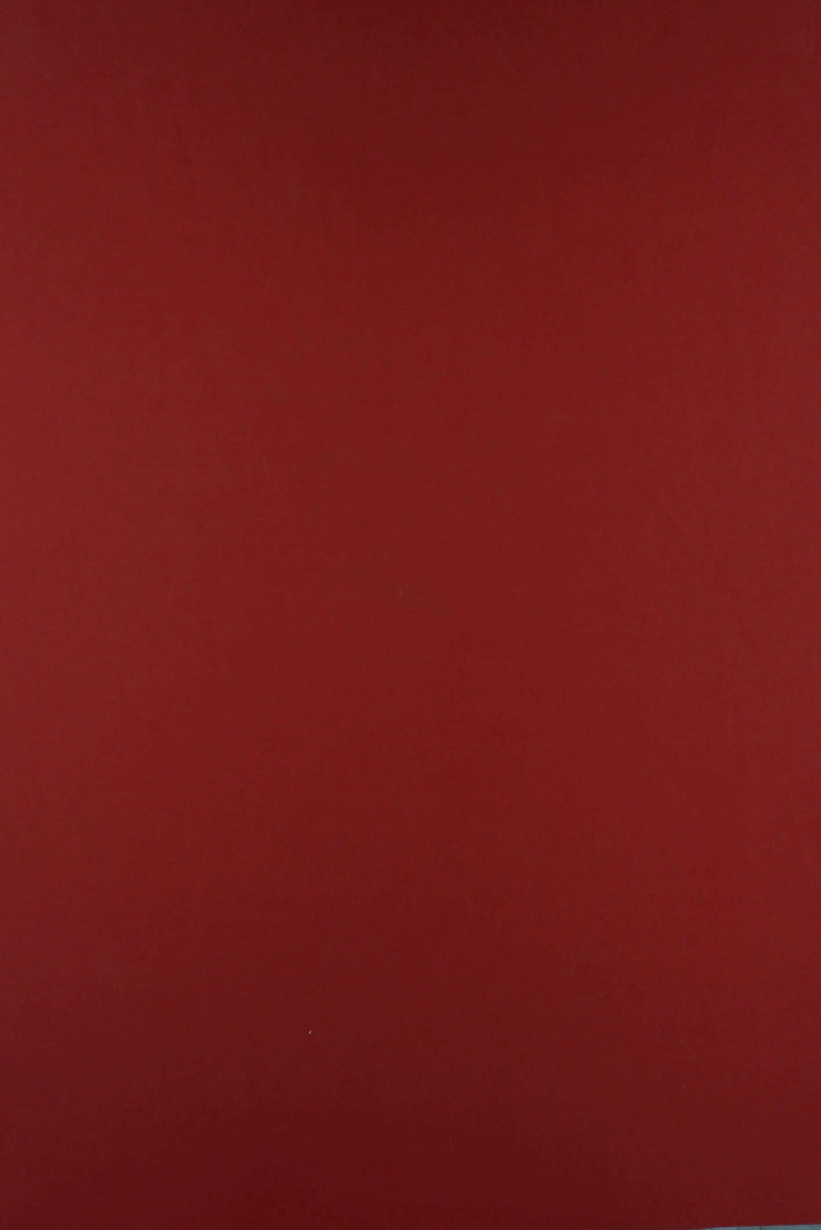 KNT2100 TERRACOTTA BIKER SHORTS BODYSUIT CAMI DRESS DTY BRUSHED KNIT LOUNGEWEAR NO-PRINT ORANGE PANTS POLYESTER SOLID SPANDEX STRETCH SUBLIMATION T-SHIRT TOPS TUNICS