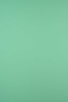 KNT2100 MINT BIKER SHORTS BODYSUIT CAMI DRESS DTY BRUSHED GREEN KNIT LOUNGEWEAR NO-PRINT PANTS POLYESTER SOLID SPANDEX STRETCH SUBLIMATION T-SHIRT TOPS TUNICS