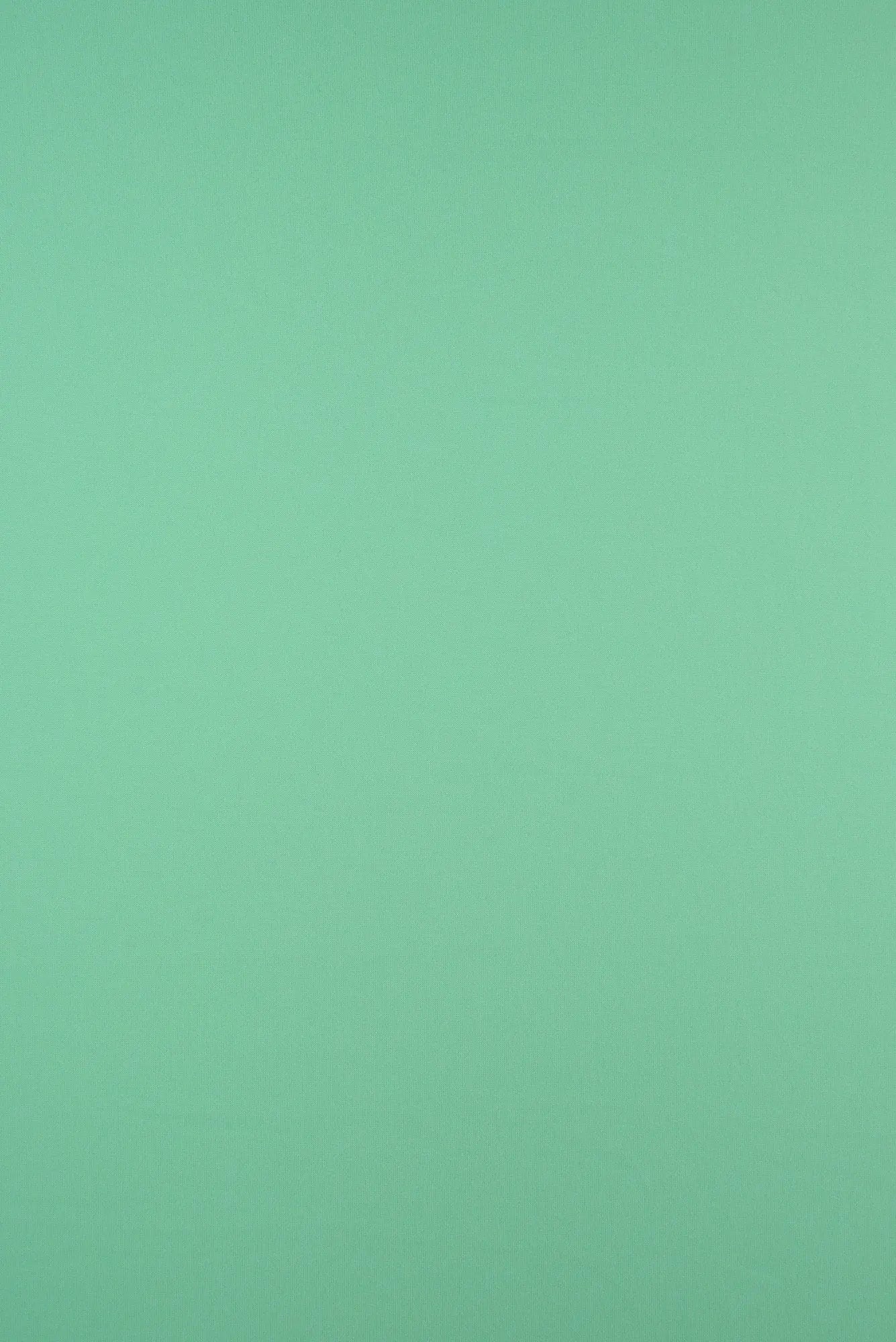 KNT2100 MINT BIKER SHORTS BODYSUIT CAMI DRESS DTY BRUSHED GREEN KNIT LOUNGEWEAR NO-PRINT PANTS POLYESTER SOLID SPANDEX STRETCH SUBLIMATION T-SHIRT TOPS TUNICS