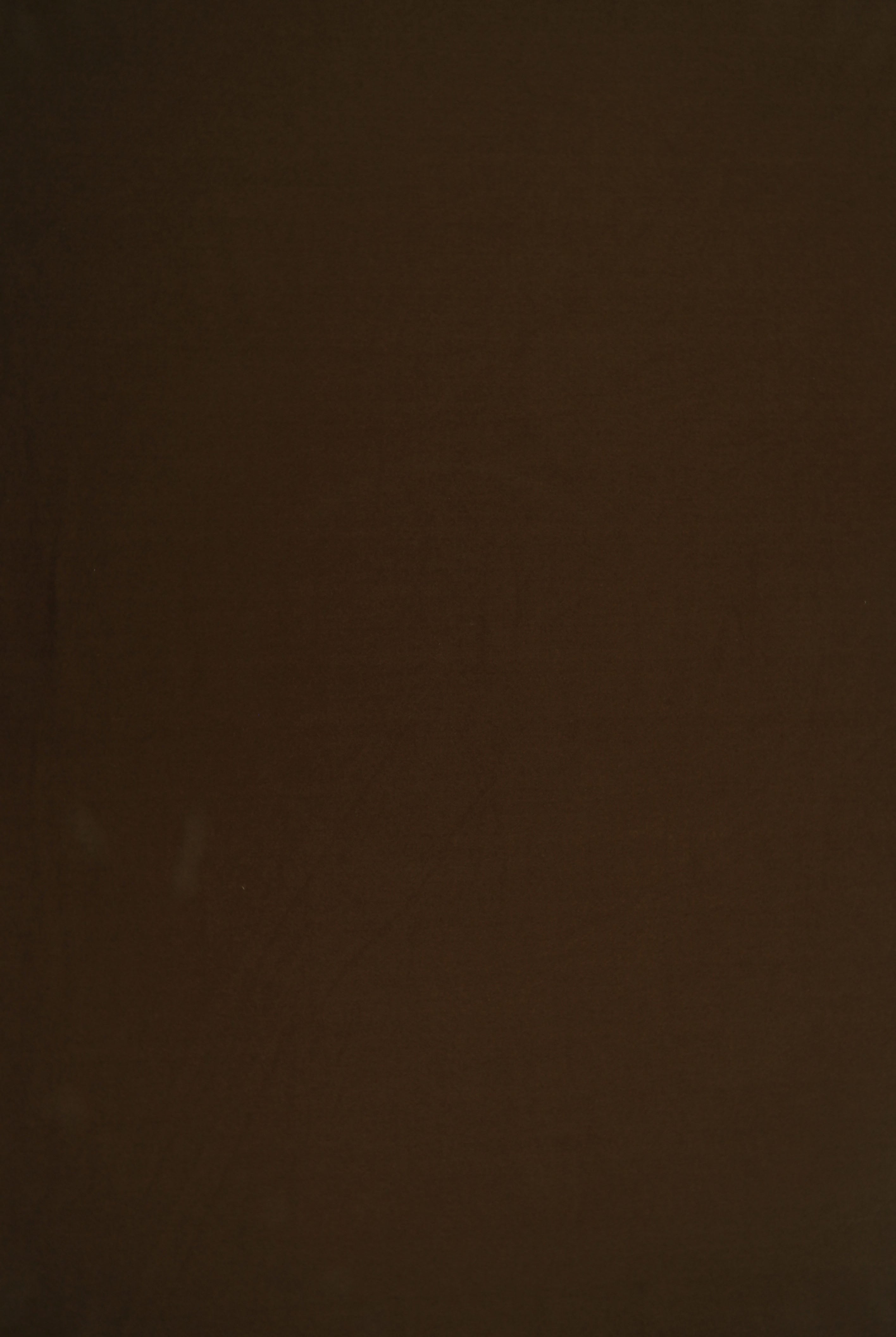 KNT2100 BROWN BIKER SHORTS BODYSUIT BROWN CAMI DRESS DTY BRUSHED KNIT LOUNGEWEAR NO-PRINT PANTS POLYESTER SOLID SPANDEX STRETCH SUBLIMATION T-SHIRT TOPS TUNICS