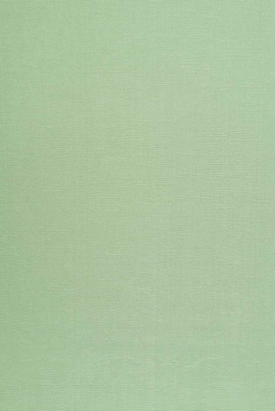 KNT3963 SAGE BIKER SHORTS BODYSUIT BOTTOMS CAMI DRESS GREEN KNIT LOUNGEWEAR NO-PRINT PANTS POLYESTER RIBBED 1X1 SLINKY SOLID SPANDEX STRETCH T-SHIRT TOPS TUNICS