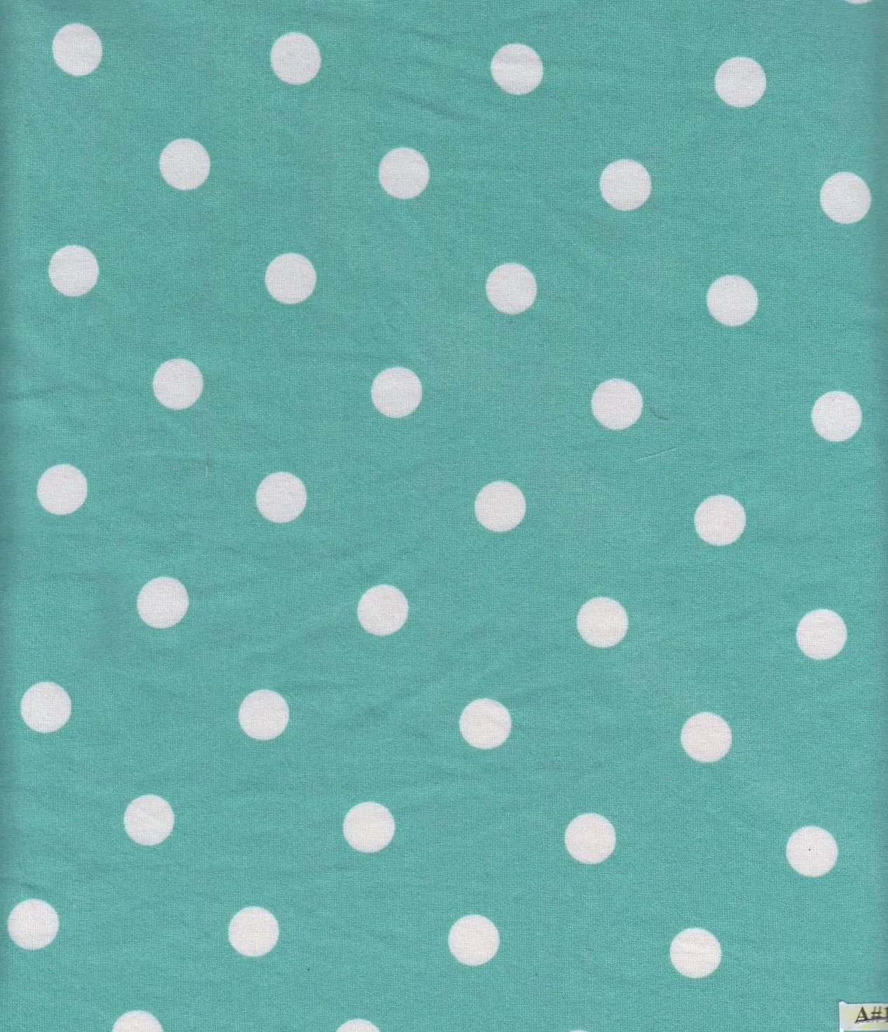 KNT2100-SE90548 GREEN BIKER SHORTS BLOUSE BODYSUIT CAMI DOT DRESS DTY BRUSHED GREEN KNIT LOUNGEWEAR PANTS POLYESTER PRINT SKIRTS SPANDEX STRETCH T-SHIRT TOPS TUNICS WHITE