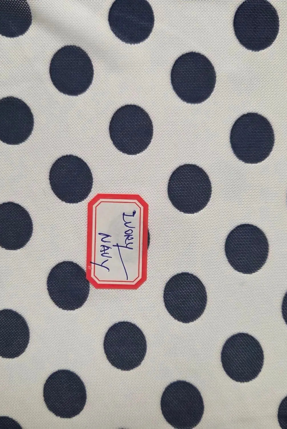 MESH-DU1665 IVORY/NAVY MESH