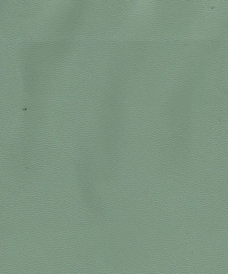 PU4218 SAGE BODYSUIT BOTTOMS CAMI DRESS KNIT LEATHER NO-PRINT OUTERWEAR PANTS POLYESTER SKIRTS SOLID STRETCH TOPS