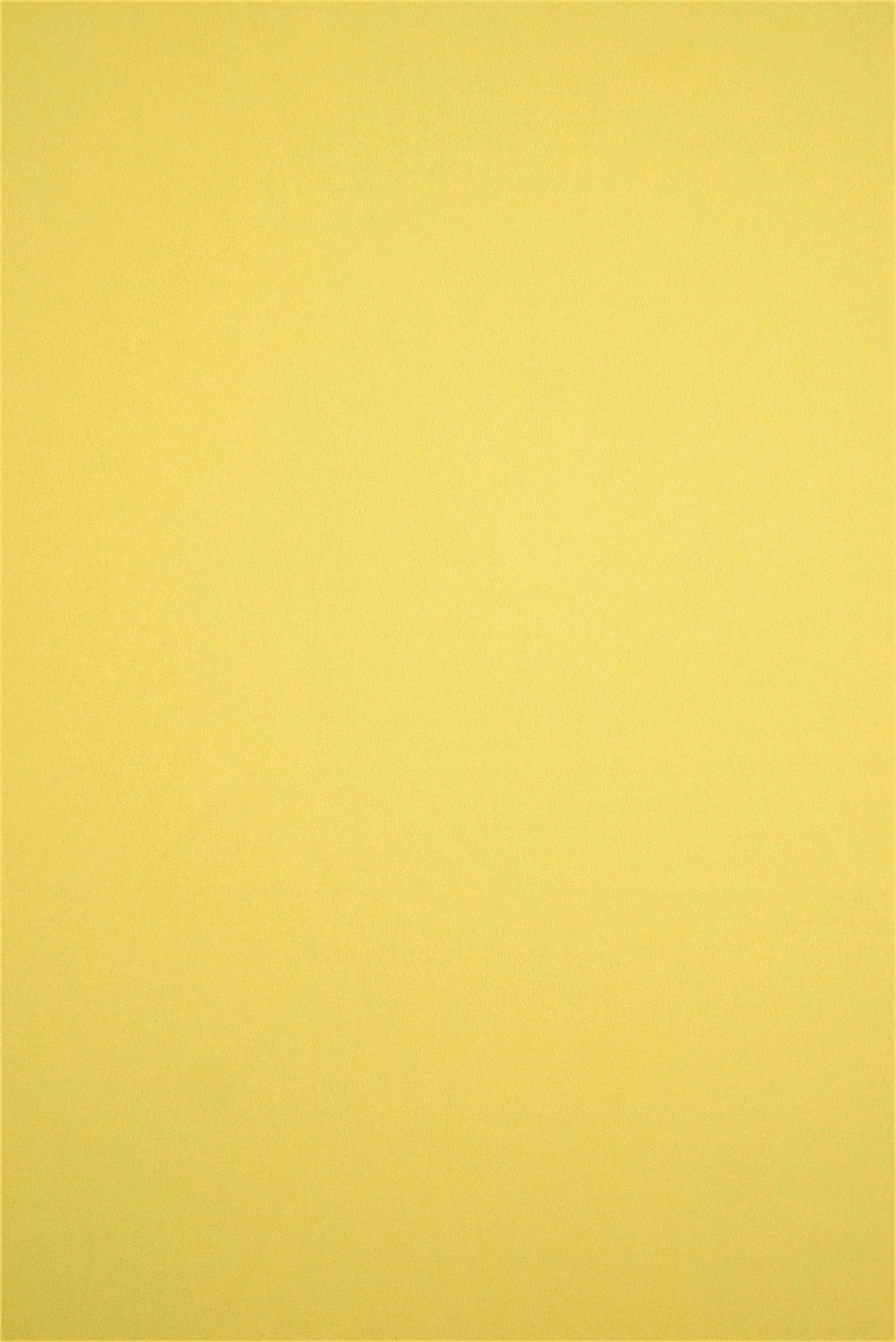 TECH-3311 YELLOW LT BODYSUIT BOTTOMS CAMI CREPON DRESS KNIT NO-PRINT PANTS POLYESTER SKIRTS SOLID SPANDEX SUBLIMATION TECHNO CREPE TOPS TUNICS YELLOW