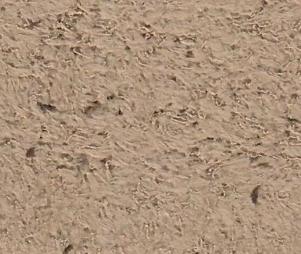 KNT4487 COCO ACTIVEWEAR BOTTOMS BROWN KNIT LOUNGEWEAR NO-PRINT OUTERWEAR POLYESTER SOLID SPANDEX STRETCH SWEATER