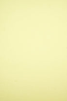 KNT2100 BUTTER YELLOW BIKER SHORTS BLOUSE BODYSUIT BRUSHED CAMI DRESS DTY KNIT LOUNGEWEAR NO-PRINT PANTS POLYESTER SKIRTS SOLID SPANDEX T-SHIRT TOPS TUNICS