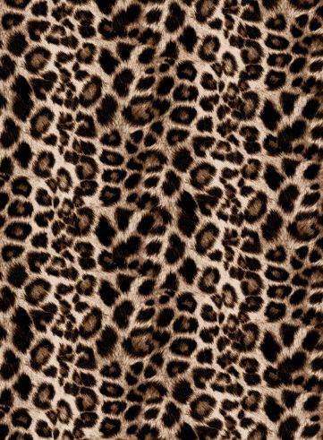 KNT4038-SE20351 STONE BIKER SHORTS BLOUSE BOTTOMS BROWN CAMI DRESS HACCI KNIT LEOPARD OUTERWEAR PANTS POLYESTER PRINT SKIRTS SPANDEX T-SHIRT TOPS