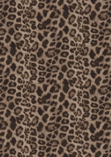 KNT4038-SE20351 BROWN ASH BIKER SHORTS BLOUSE BOTTOMS BROWN CAMI DRESS HACCI KNIT LEOPARD OUTERWEAR PANTS POLYESTER PRINT SKIRTS SPANDEX T-SHIRT TOPS