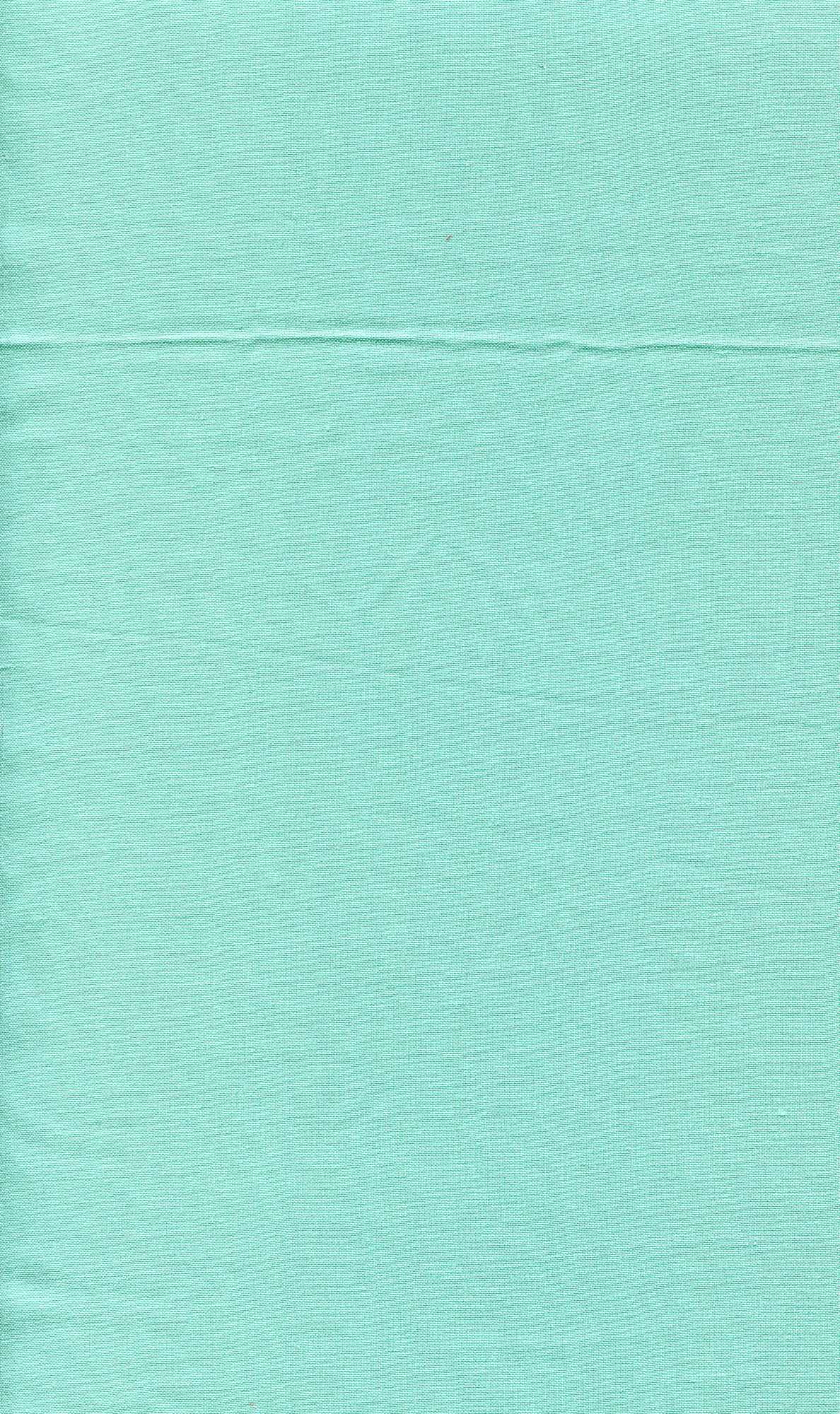 POP900 MINT BLOUSE CAMI CHALLIS DRESS NO-PRINT RAYON SOLID T-SHIRT TOPS TUNICS WOVEN