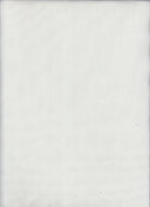 MESH-1000 IVORY BLOUSE BODYSUIT CAMI FLOCKING IVORY LOUNGEWEAR MESH NO-PRINT NYLON SOLID SPANDEX STRETCH TOPS TUNICS