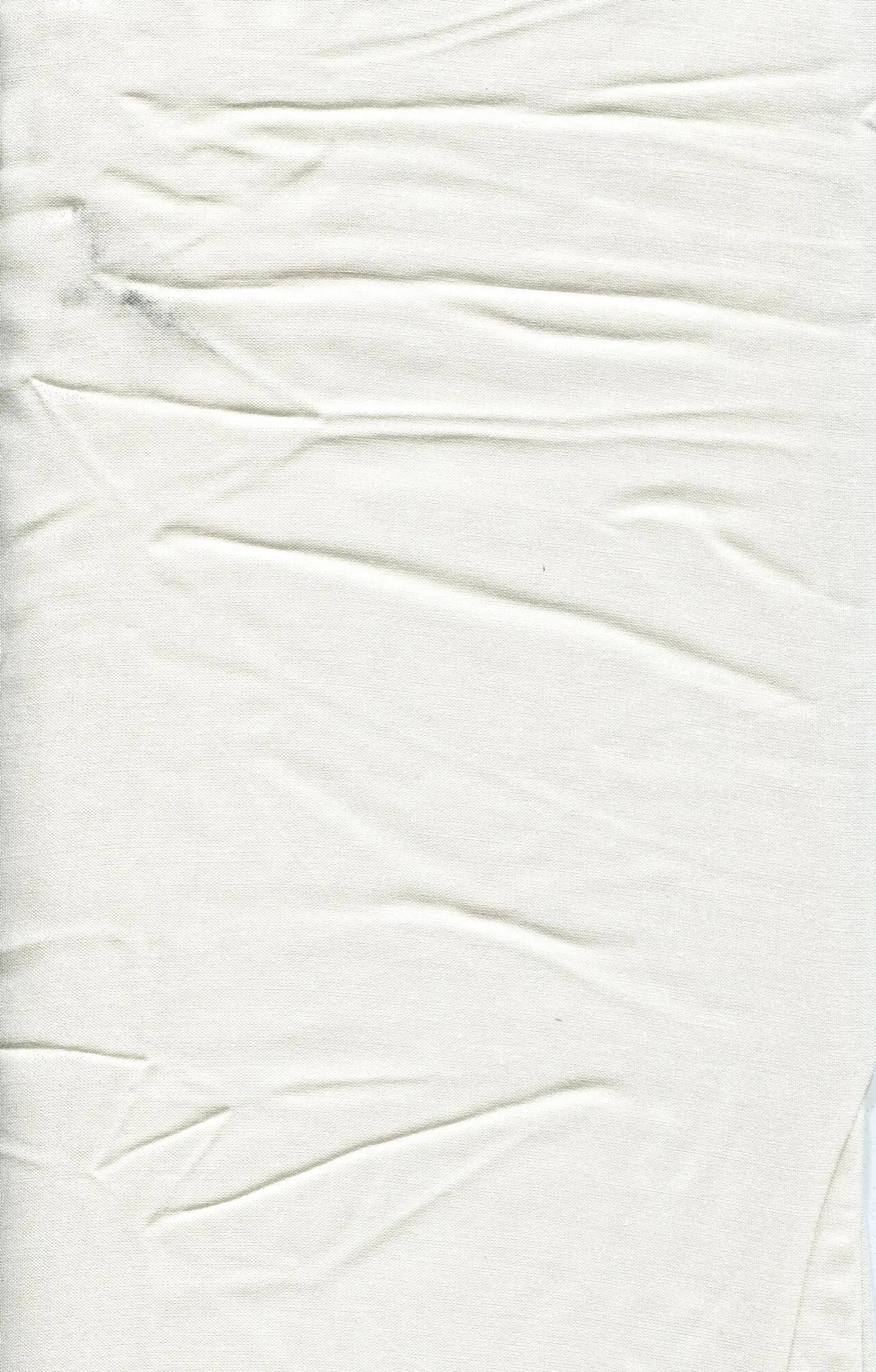 POP900 IVORY BLOUSE CAMI CHALLIS DRESS NO-PRINT RAYON SOLID T-SHIRT TOPS TUNICS WOVEN