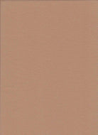 CRP3197 TAN POLYESTER SOLID WOVEN