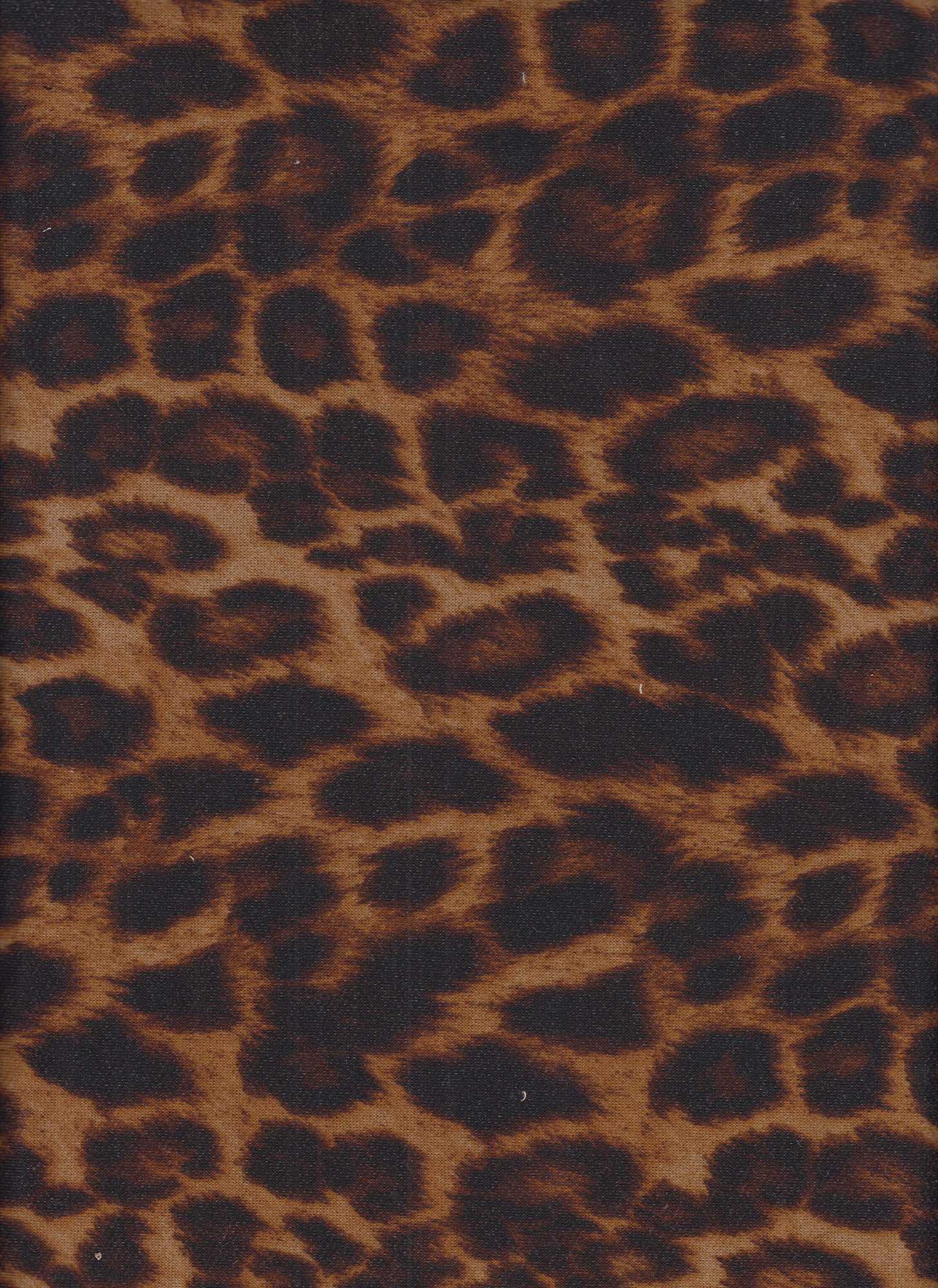 KNT1374-S20350A CAMEL OB ANIMAL BLACK BODYSUIT BROWN CHEETAH DRESS KNIT LOUNGEWEAR PANTS POLYESTER PRINT RAYON SPANDEX STRETCH SWEATER T-SHIRT TOPS TUNICS WHITE