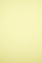 KNT2100 BUTTER YELLOW BIKER SHORTS BLOUSE BODYSUIT BRUSHED CAMI DRESS DTY KNIT LOUNGEWEAR NO-PRINT PANTS POLYESTER SKIRTS SOLID SPANDEX T-SHIRT TOPS TUNICS