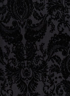 KNT3869-MS11379 BLACK R BLACK BODYSUIT BOTTOMS BURNOUT CAMI DAMASK DRESS KNIT NYLON PANTS POLYESTER PRINT-B SKIRTS SPANDEX STRETCH TOPS VELVET