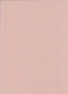 Linen Viscose Solid Woven Fabric - LIN-1500 
