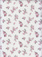 KNT4463-MS11495 -IVORY/ROSE  PRINT, PRINT-B, RIBBED KNIT-0