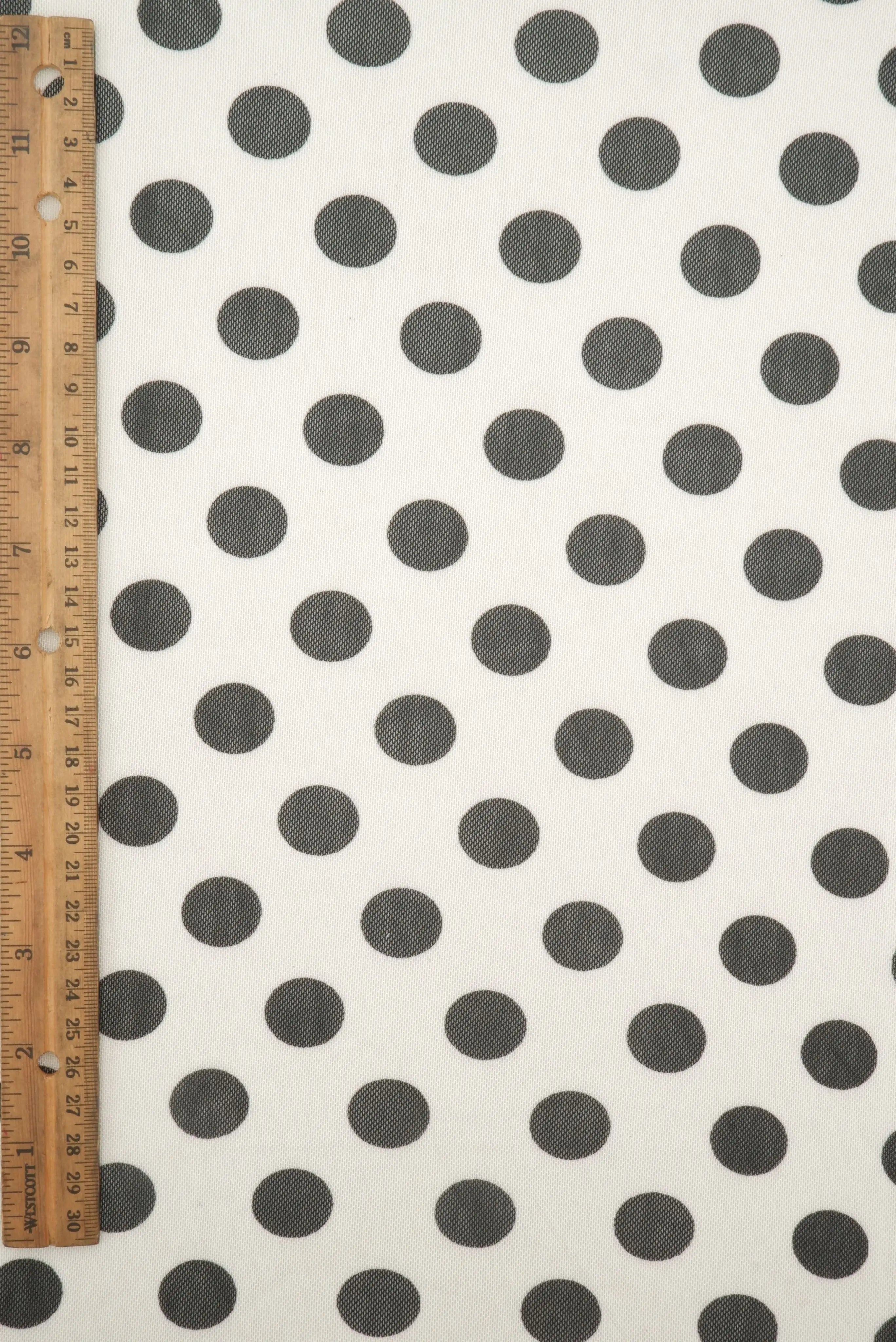 Polka Dot Mesh Print MESH-DU1665 