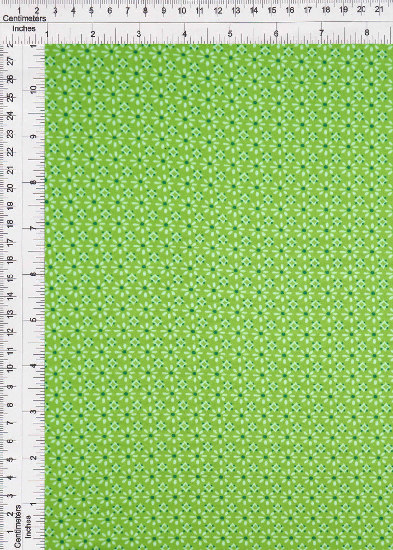 KNT2100-MS10082 -LIME  PRINT, PRINT-B KNIT