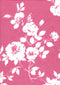 KNT3971-MS11057 -PINK HOT  PRINT, PRINT-B KNIT